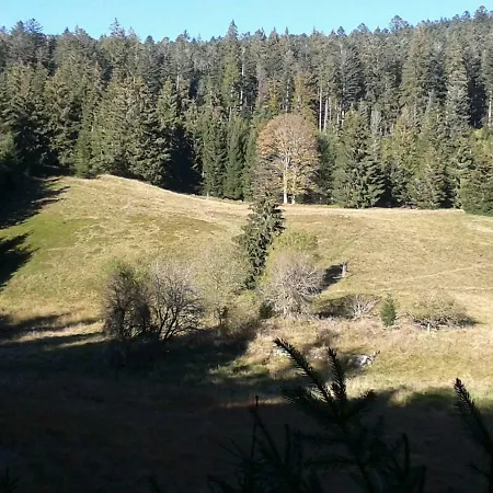 Apartment La Mansarde De Clo *