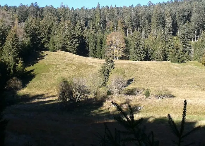 Appartement La Mansarde De Clo *